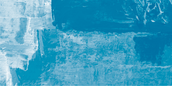widget image